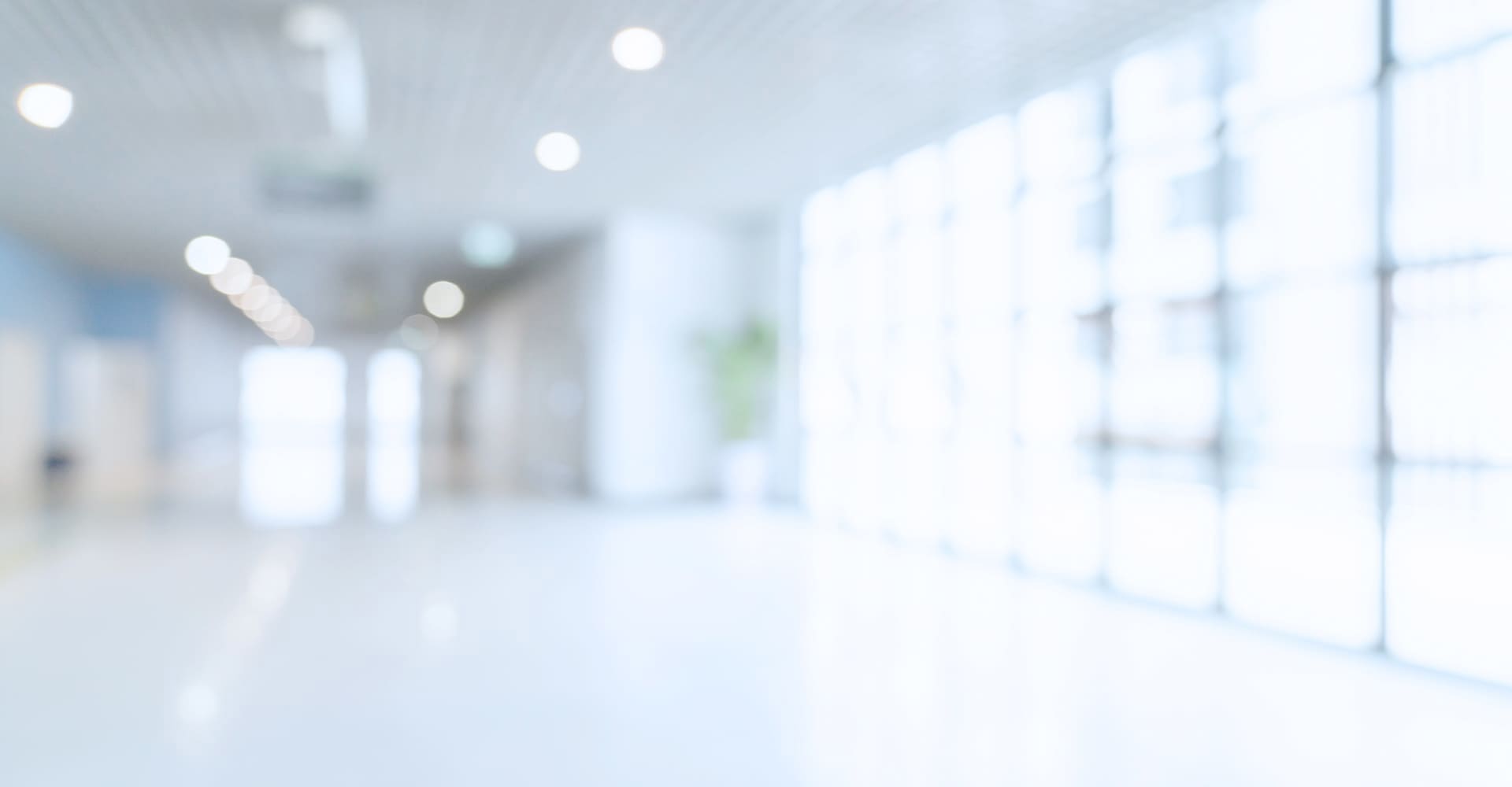 メインビジュアル02（PC）